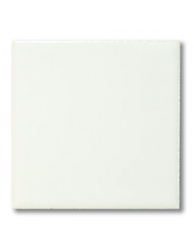 Email liquide unis Blanc FG1010 | TERRACOLOR