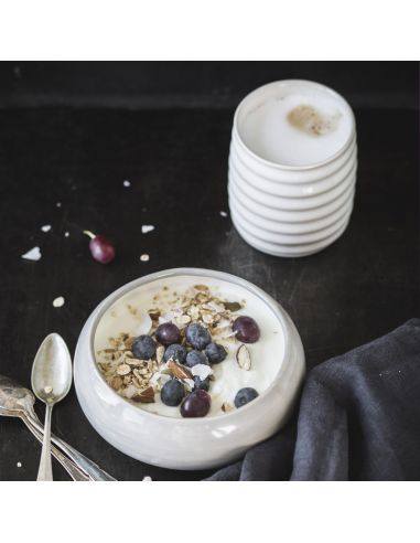 BO9301 Émail grès blanc opale PRO | BOTZ