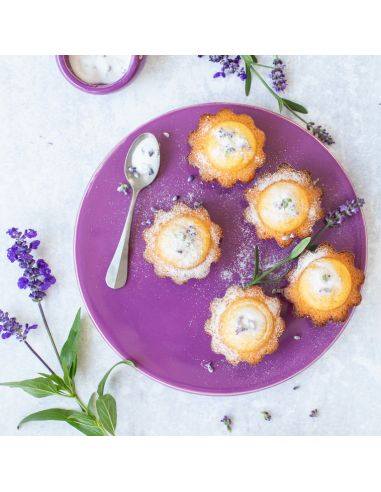 BO9622 Émail grès Amethyste PRO | BOTZ