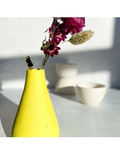 BO9821 Engobe Jaune I BOTZ 2