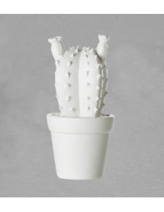 Cactus en biscuit en grès