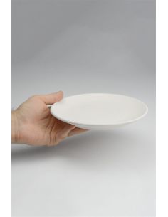Assiette plate Ø18 cm | Biscuit de faïence 2