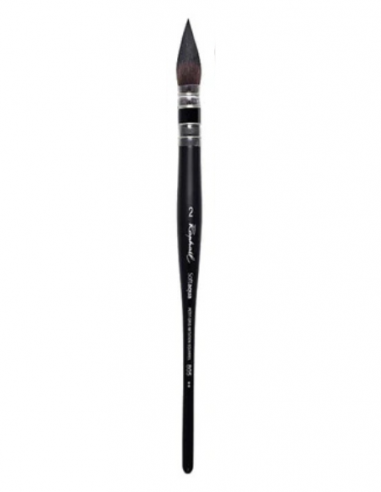 Gamme de pinceaux n°805 | RAPHAEL