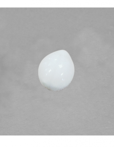 Coccinelle en porcelaine blanche