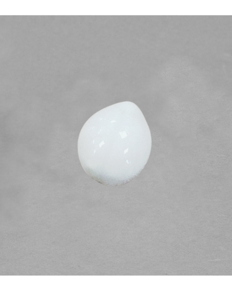 Coccinelle en porcelaine blanche
