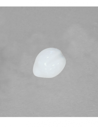 Grande coccinelle en porcelaine blanche