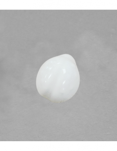 Grande coccinelle en porcelaine blanche