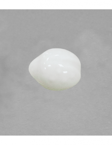 Grande coccinelle en porcelaine blanche