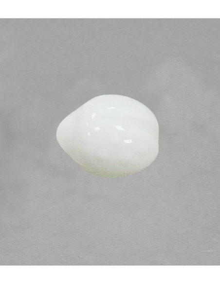 Grande coccinelle en porcelaine blanche