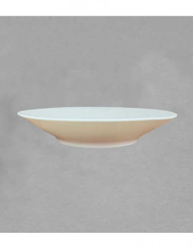 Assiette creuse Sybarite 27 cm en porcelaine...