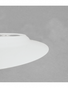 Assiette dégustation 25cm en porcelaine blanche de Limoges 2