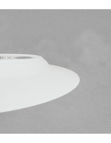 Assiette dégustation 25cm en porcelaine blanche...