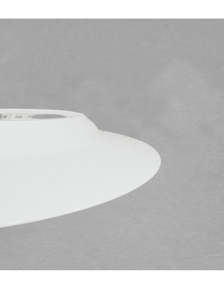Assiette dégustation 25cm en porcelaine blanche de Limoges