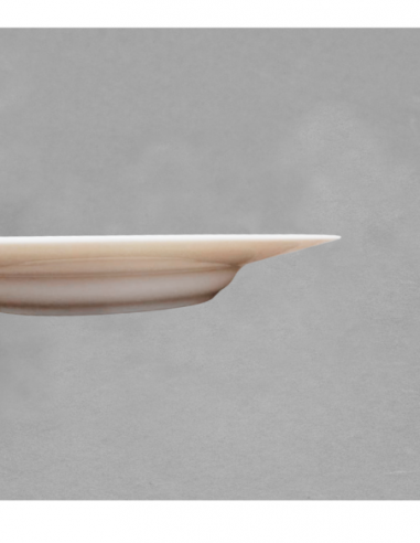 Assiette dégustation 25cm en porcelaine blanche...