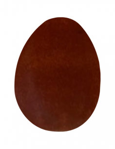 Couleur traditionnelle Marron écureil | CATHERINE BERGOIN