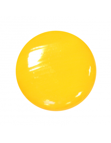 Couleur plombeuse Jaune Albert véritable n°41 I...