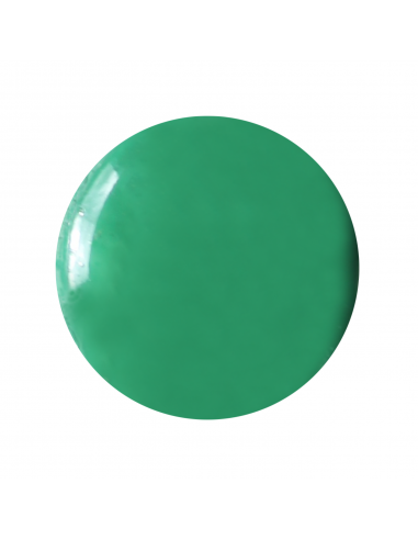 Couleur plombeuse Vert veronese n°66 I SCHJERNING