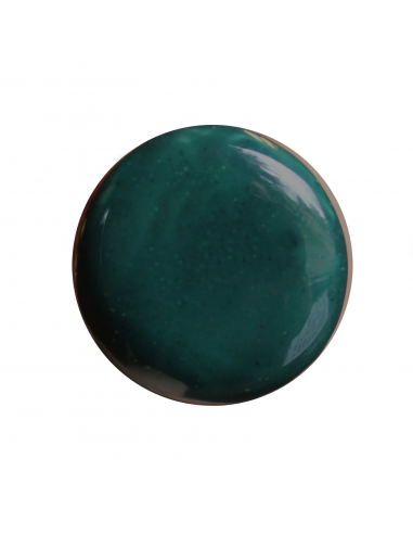Couleur plombeuse Vert extra foncé n°101 I...