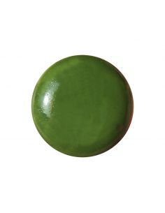 Couleur sans plomb Vert olive n°2011 I SCHJERNING