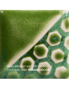 Email brillant Fern EL150 | MAYCO 2