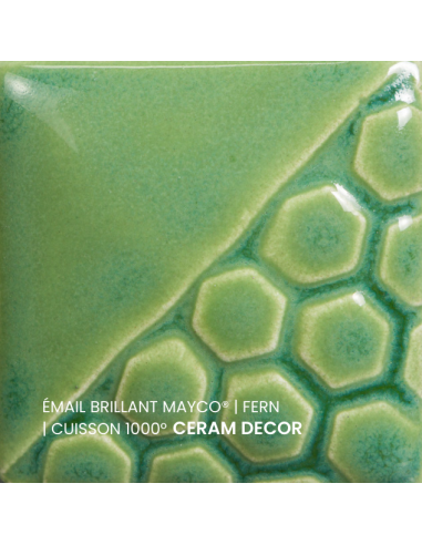 Email brillant Fern EL150 | MAYCO