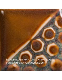 Email brillant Cactus Flower EL143 | MAYCO 2