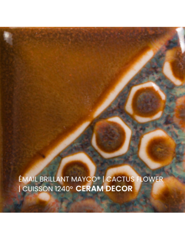 Email brillant Cactus Flower EL143 | MAYCO