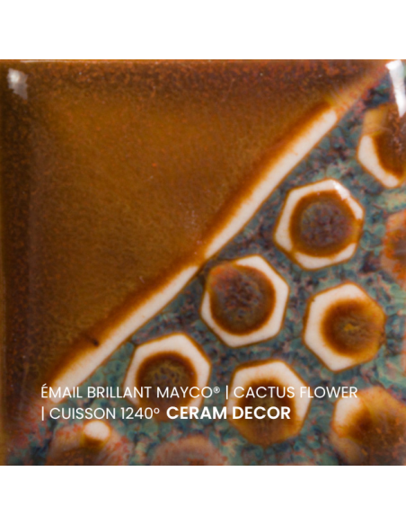 Email brillant Cactus Flower EL143 | MAYCO