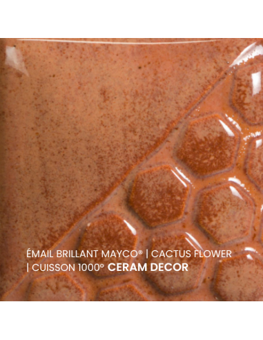 Email brillant Cactus Flower EL143 | MAYCO