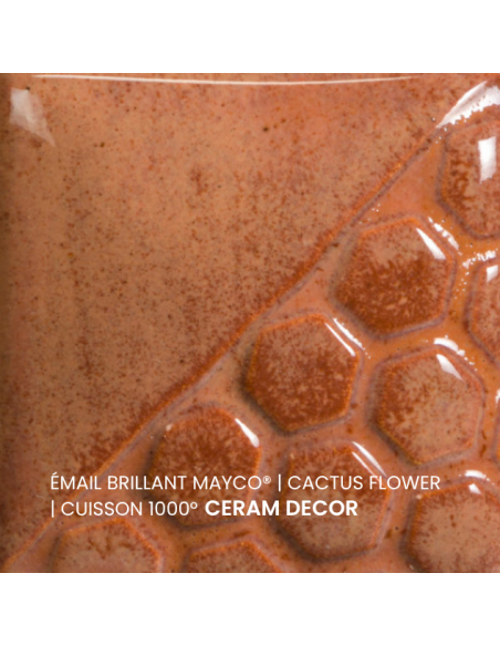 Email brillant Cactus Flower EL143 | MAYCO