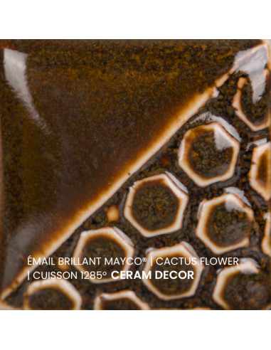 Email brillant Cactus Flower EL143 | MAYCO