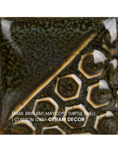 Email brillant Turtle Shell EL131 | MAYCO