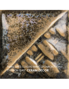 SW218 Email classic MICRO ASH | MAYCO