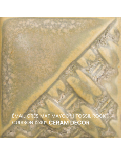 SW197 Email mat FOSSIL ROCK | MAYCO