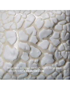 SW403 Email WHITE MUDCRACK | MAYCO