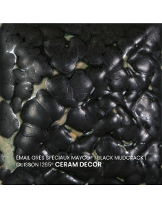 SW404 Email BLACK MUDCRACK | MAYCO 2