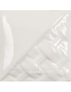 SW501 Email WHITE GLOSS | MAYCO