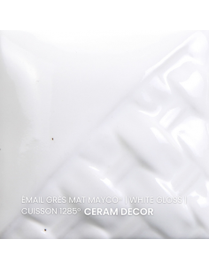 SW501 Email WHITE GLOSS | MAYCO 2