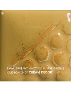 Email brillant Mudslide EL110 | MAYCO 2