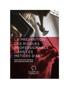 Livre "Prévention des risques professionnels dans les...