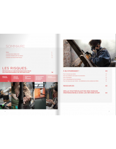 Livre "Prévention des risques professionnels dans les... 2