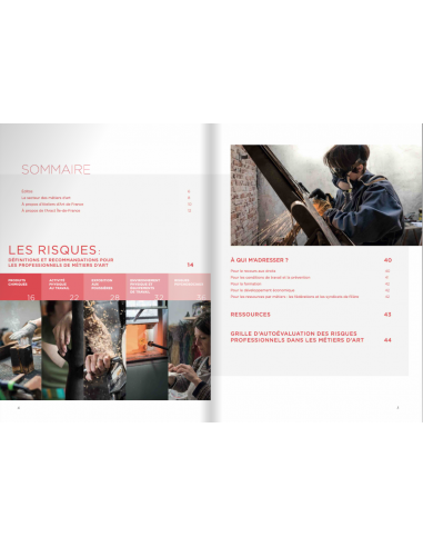 Livre "Prévention des risques professionnels...