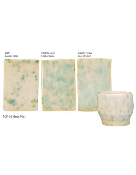 Émail grès à effet PCF75 Moss Mist | AMACO
