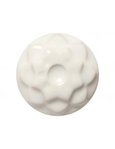 Émail grès C-10 Snow | AMACO