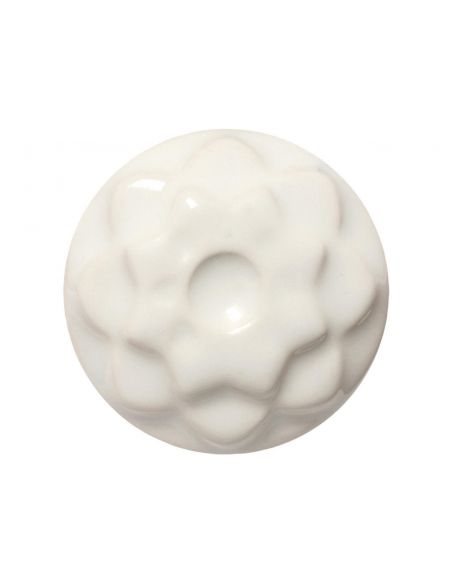 Émail grès C-10 Snow | AMACO