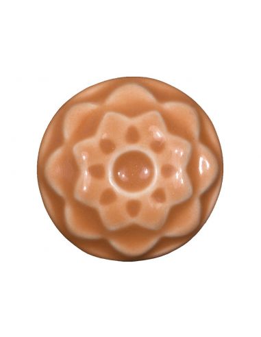 Émail grès C-65 Tangelo | AMACO