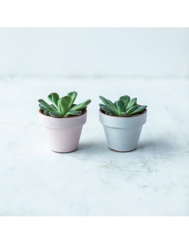 BO9492 Émail faïence gris pastel mat | BOTZ