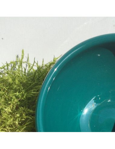 BO9373 Émail faïence Jade brillant | BOTZ