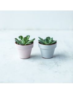 BO9493 Émail faïence Rose pastel mat | BOTZ 2