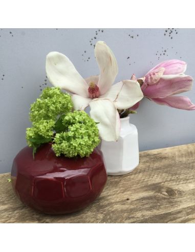 BO9559 Émail faïence Rouge cerise brillant | BOTZ